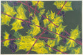 205. Oregon Grape (unframed)