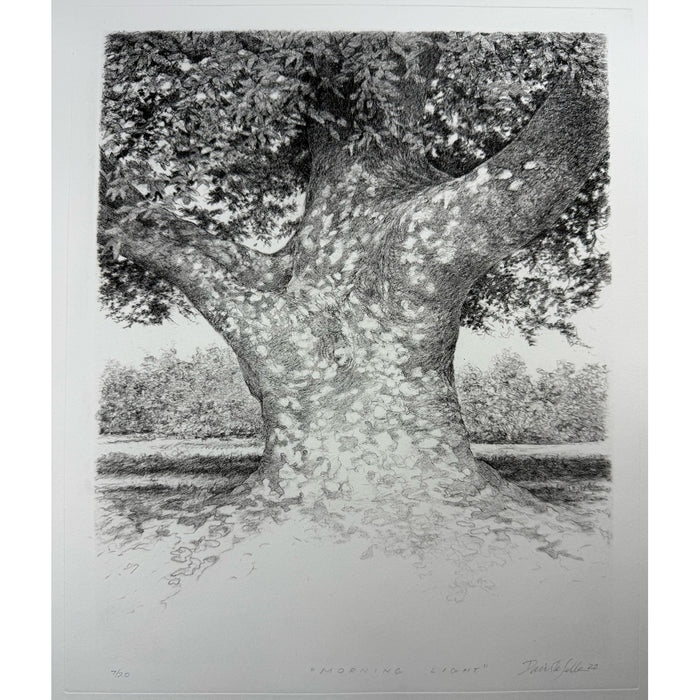 6. Morning Light