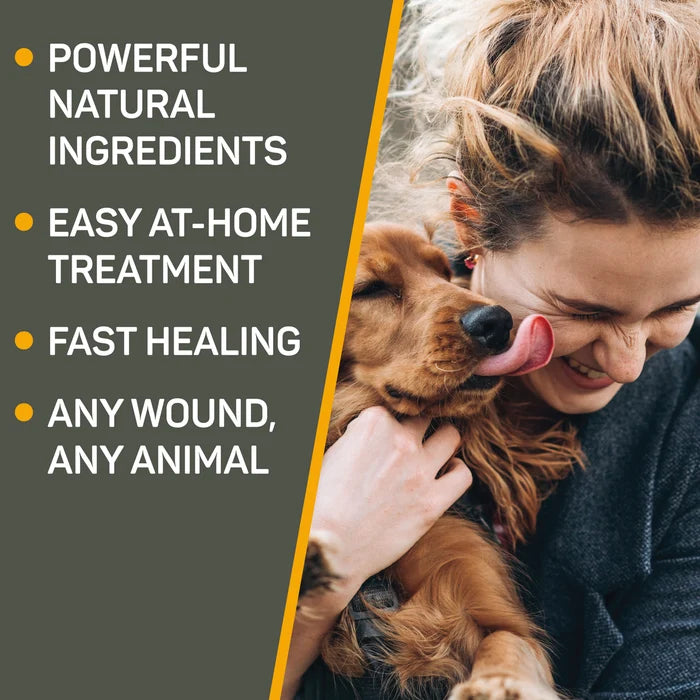 Absorbine Pet - Silver Honey Hot Spot & Wound Care Spray 8 fl oz.