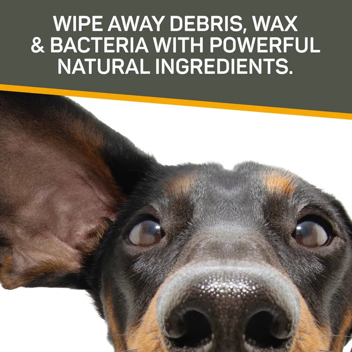 Absorbine Pet - Silver Honey Rapid Ear Care Vet Strength Pet Wipes, 50ct, Manuka Honey & MicroSilver BG