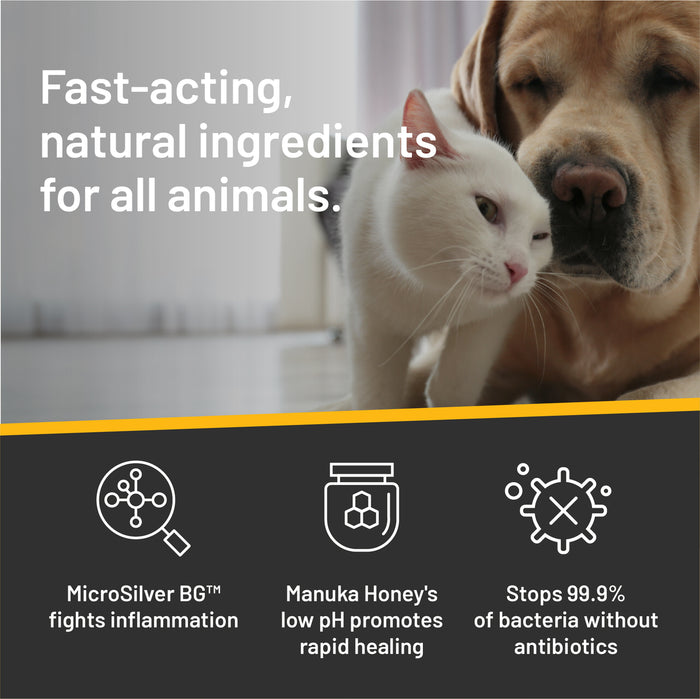 Absorbine Pet - Silver Honey Rapid Ear Care Vet Strength Pet Wipes, 50ct, Manuka Honey & MicroSilver BG