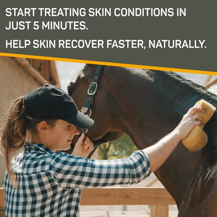 Absorbine Pet - Silver Honey Rapid Skin Relief Medicated Shampoo, 16 fl oz