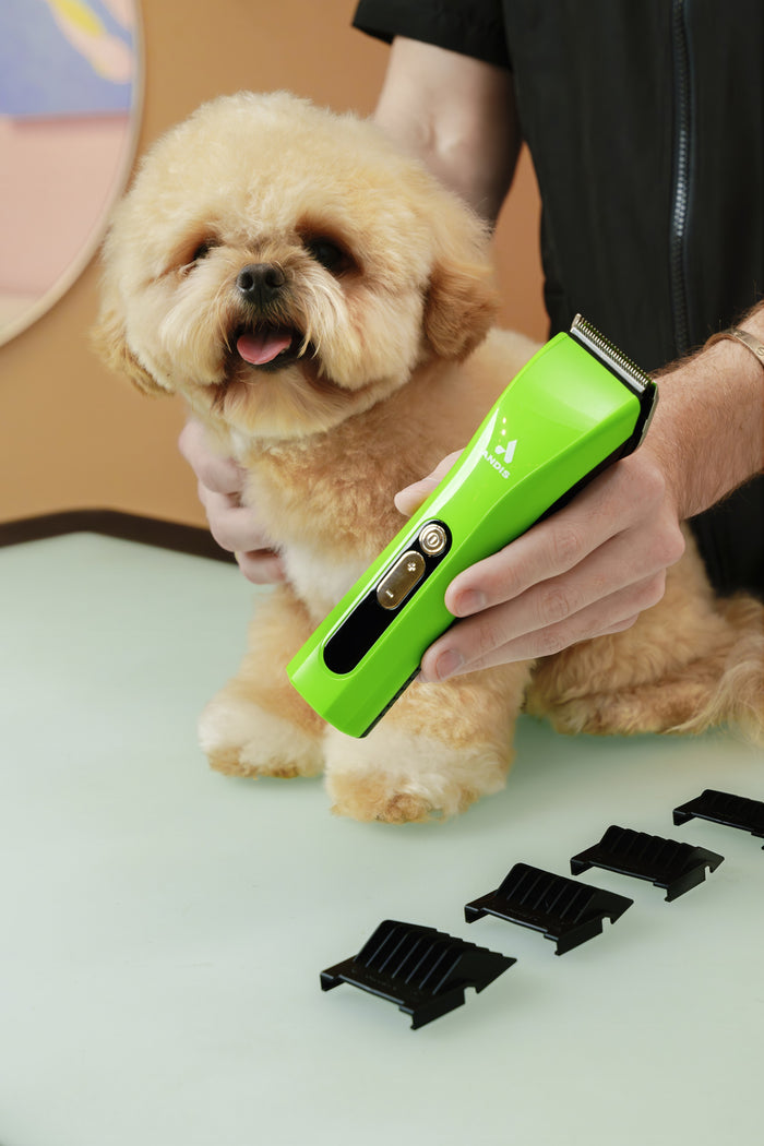 Andis ProClip™ 5-in-1 Clipper - Green