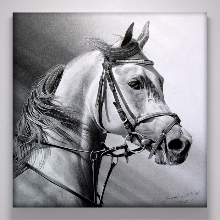 "Arabian Beauty"