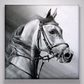 "Arabian Beauty"