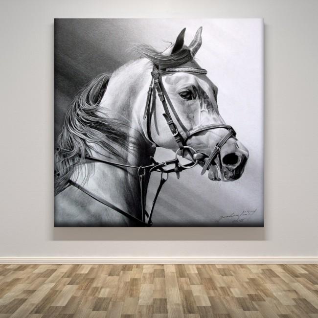 "Arabian Beauty"