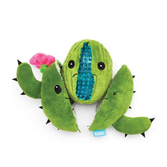 BARK Consuela the Cactus