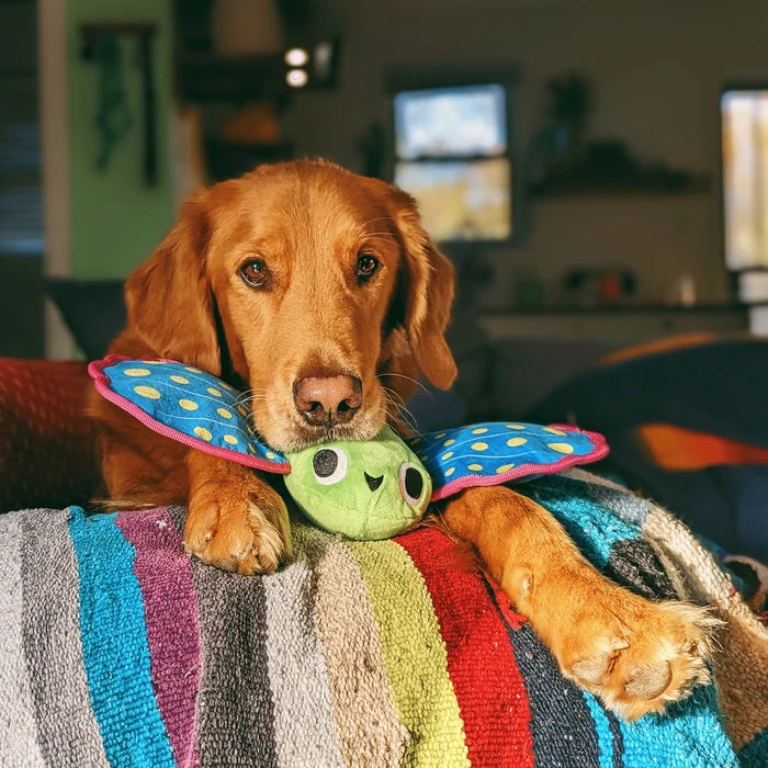 BARK Freddy Flying Fish Plush Dog Toy
