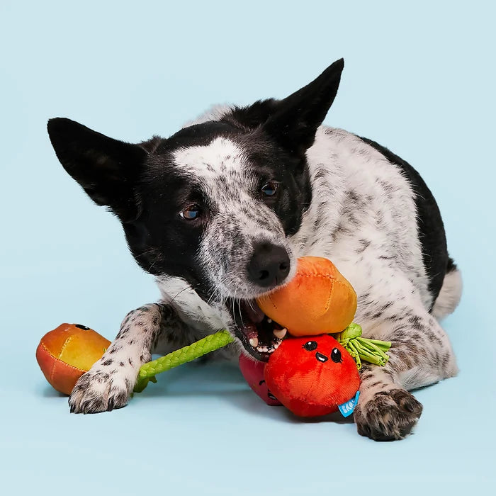 BARK Hairloom Tomatoes Plush Dog Toy S/M