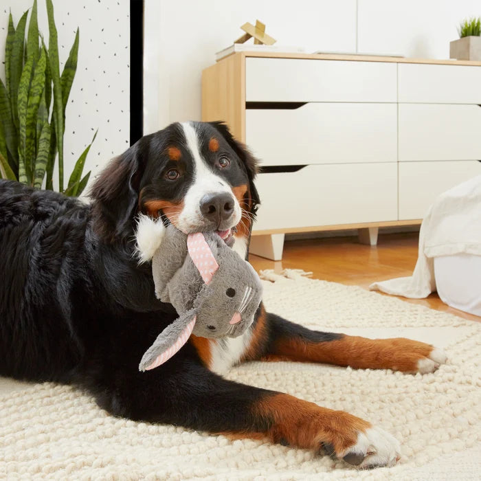 BARK Itty & Bitty the Bunny Slippers