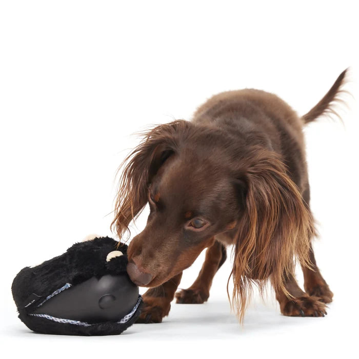 BARK Super Chewer Black Bear Bones Dog Chew Toy M/L