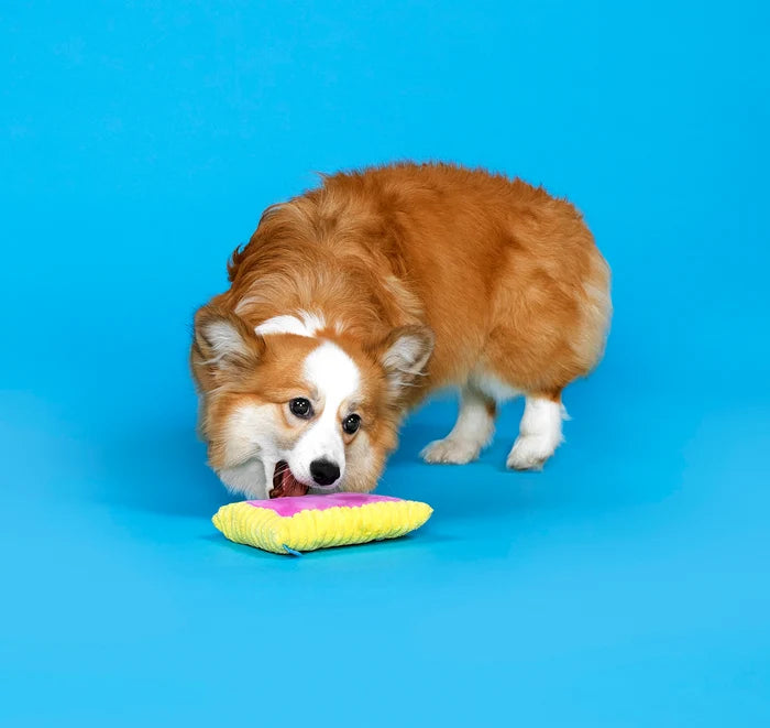 BARK Toaster Poodle Plush Dog Toy