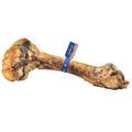 Barkworthies Femur Bone (Case 5)