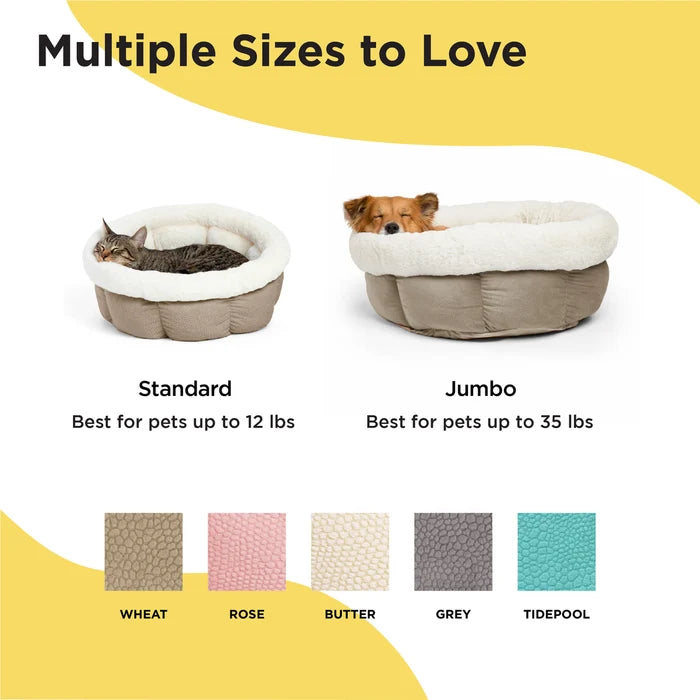 Best Friends by Sheri Cuddle Cup Ilan Wheat Mini