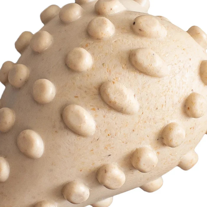BetterBone Hard Classic Dog Chew Toy Small
