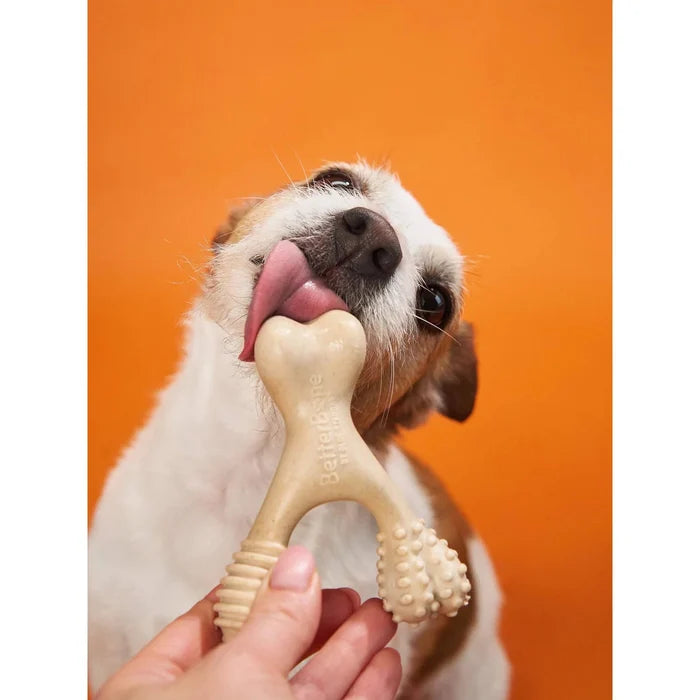 BetterBone Hard Classic Dog Chew Toy Small
