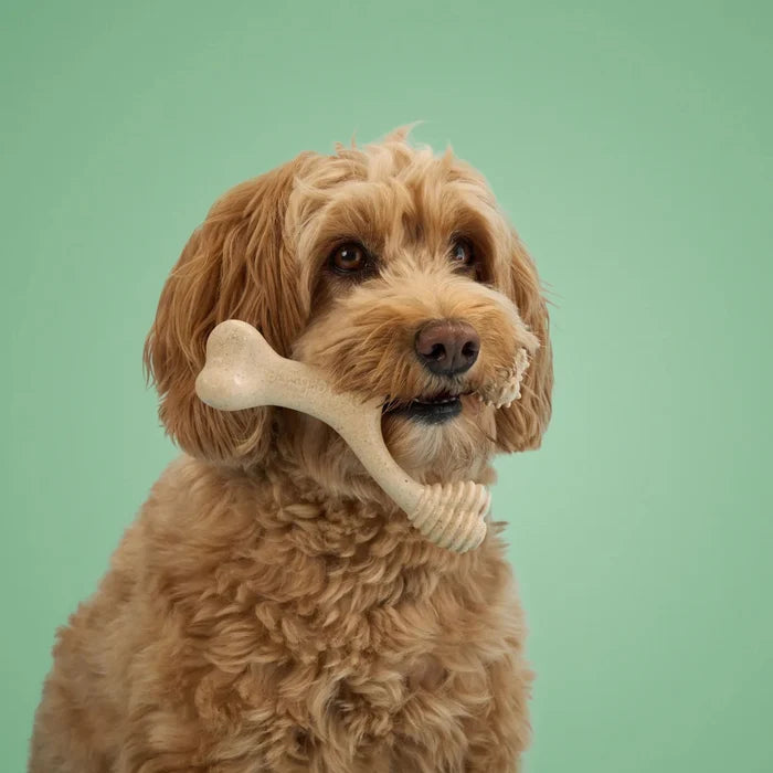 BetterBone Medium Beef Dog Chew Toy Large