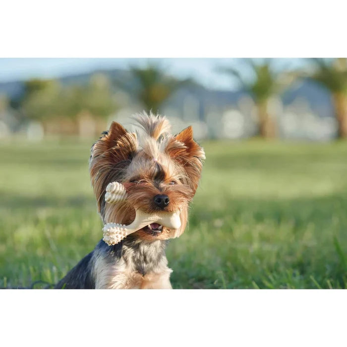 BetterBone Medium Beef Dog Chew Toy Mini