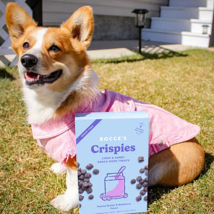 Bocce's Bakery PB + Blueberry Crispies Dog Treats 10oz