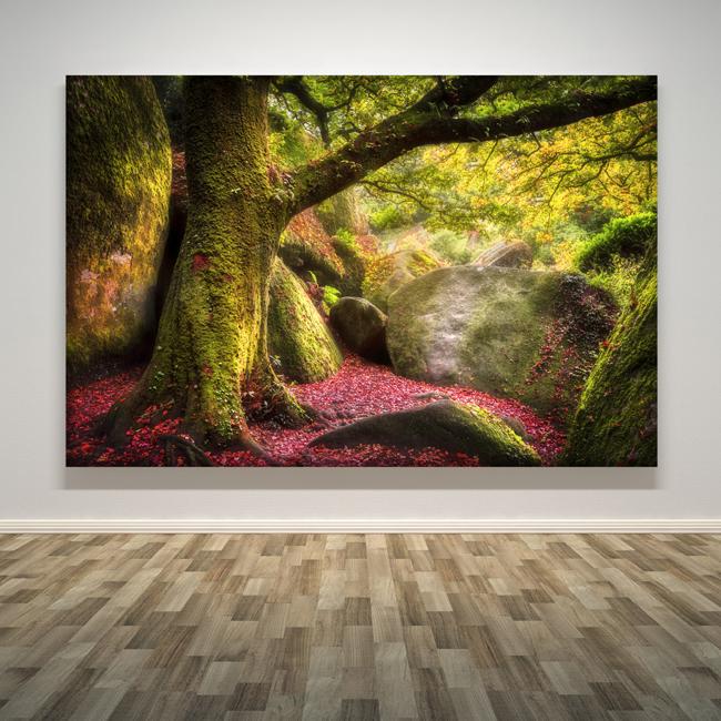 "Broceliande Canvas Curve"