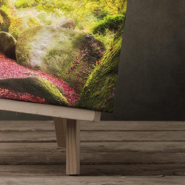 "Broceliande Canvas Curve"