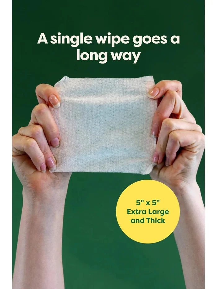 Earth Rated Dog Eye Cleansing Wipes 60ct Case of 6