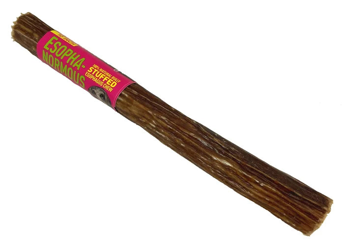 Etta Says! Esopha-normous Bully Stuffed Esophagus Chew 10in 18ct