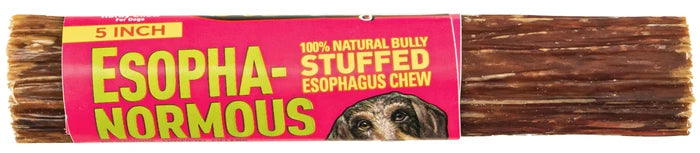 Etta Says! Esopha-normous Bully Stuffed Esophagus Chew Indiv. 5"