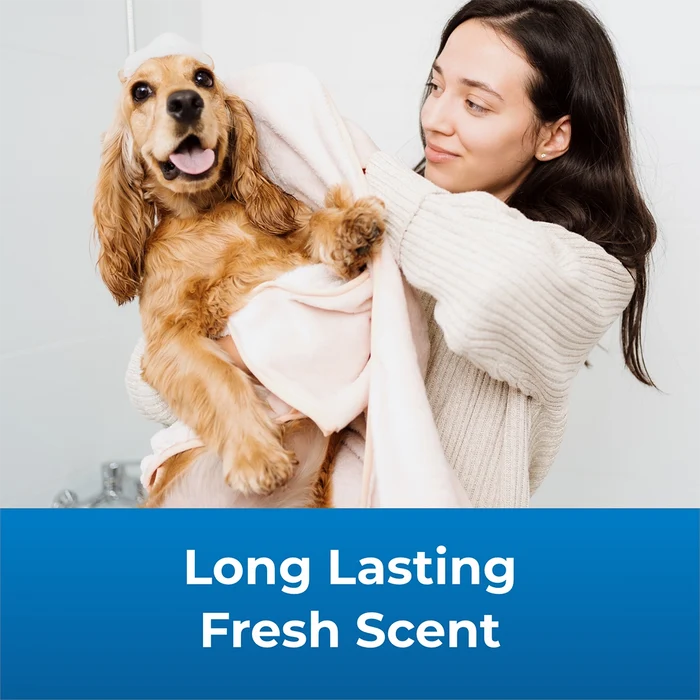 Fresh 'n Clean Scented Shampoo, Classic Fresh Scent RTU