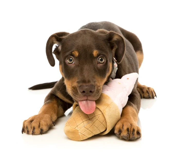 FuzzYard Dog Toy Ice Cream