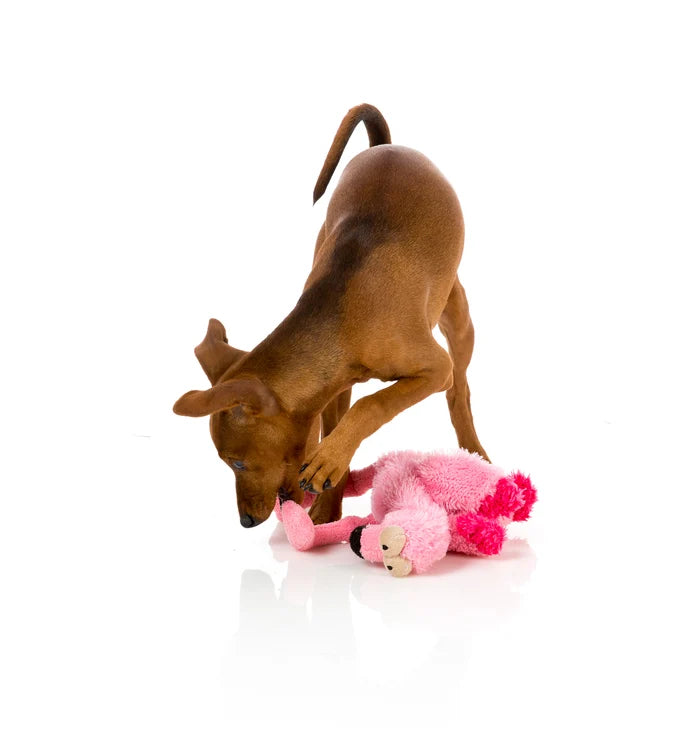 FuzzYard Dog Toy Neighborhood Nasties Little Flo the Flamingo Small