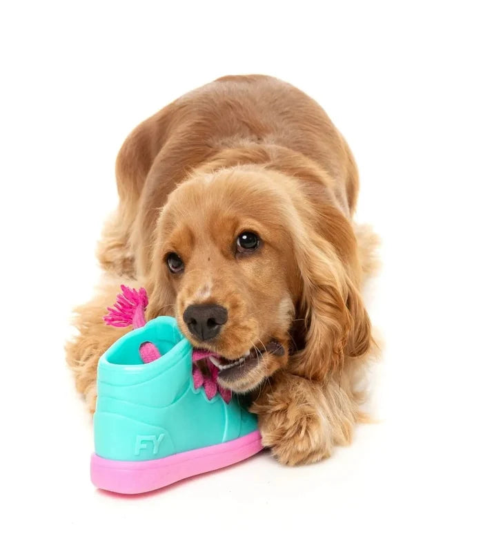 FuzzYard Fresh Kicks N' Licks Dog Chew Toy