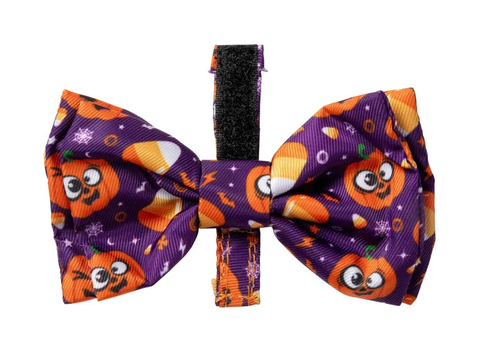 FuzzYard Halloween Bowtie Goofie Gourds Small