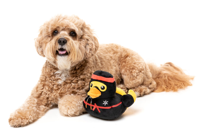 FuzzYard Quackie Chan Plush Dog Toy