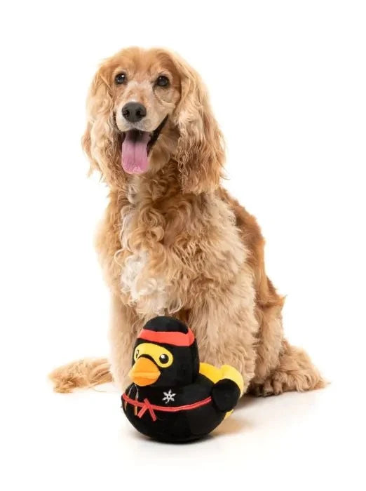 FuzzYard Quackie Chan Plush Dog Toy