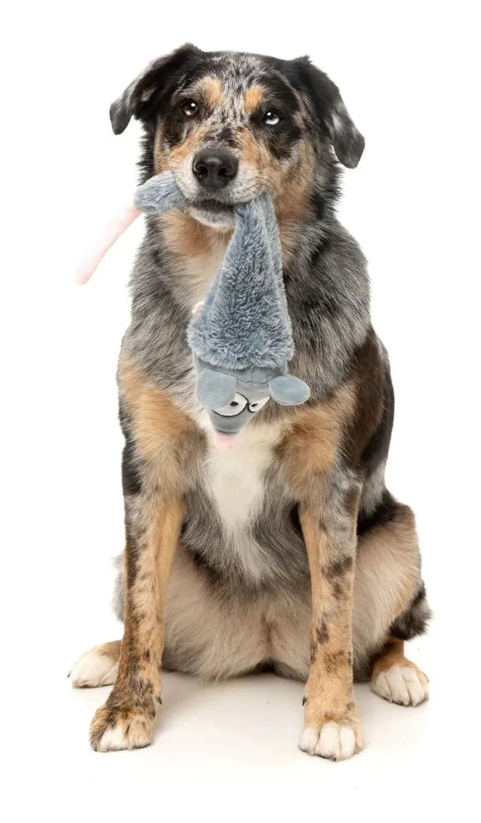 FuzzYard Rack Off Rat Plush Dog Toy