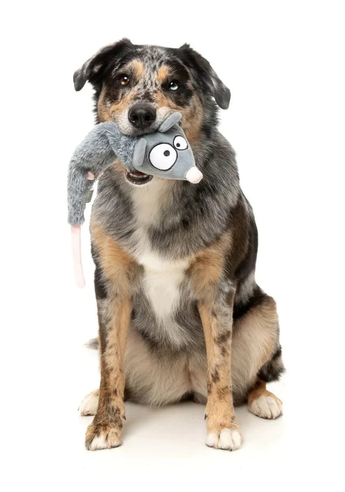 FuzzYard Rack Off Rat Plush Dog Toy