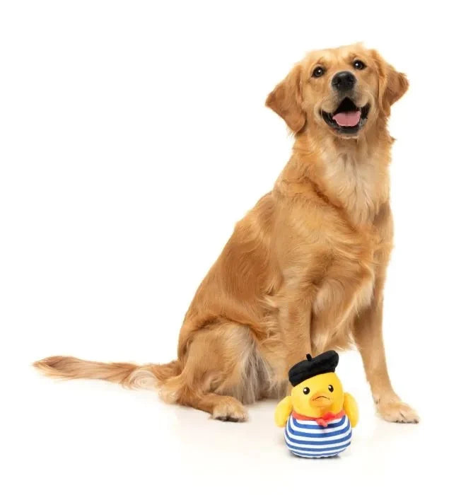FuzzYard Timotheé Chalaquack Plush Dog Toy Large