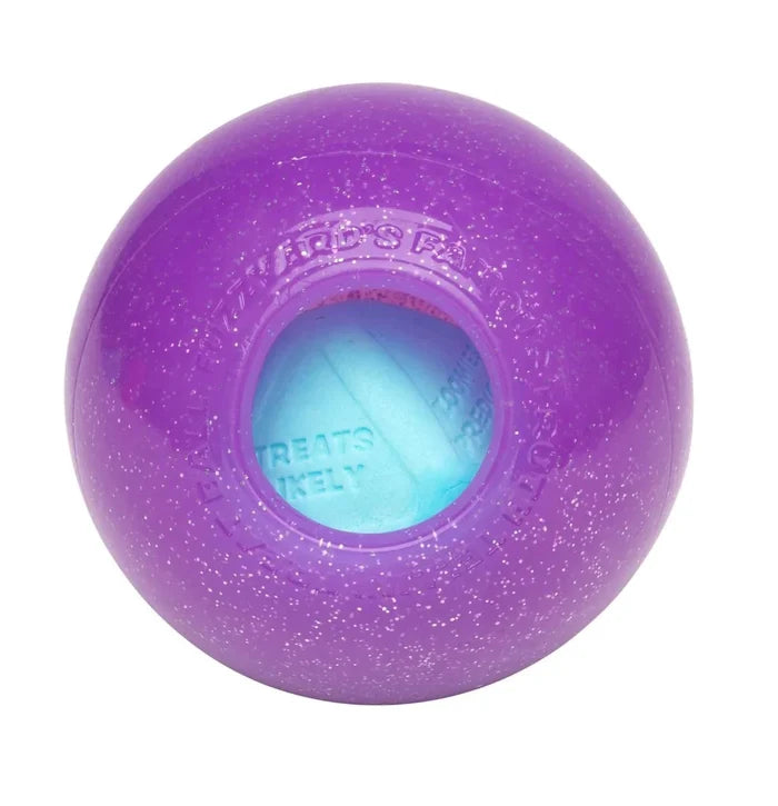 FuzzYard Truth Tellin' Treat Ball Dog Chew Toy
