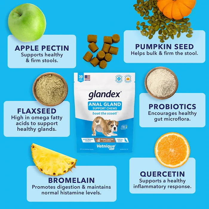 Glandex Anal Gland Support Soft Chews - Bacon and Pumpkin Flavor 30 ct.