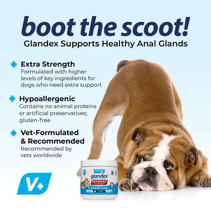 Glandex Anal Gland Support Soft Chews - Duck & Bacon Flavor 30 ct.