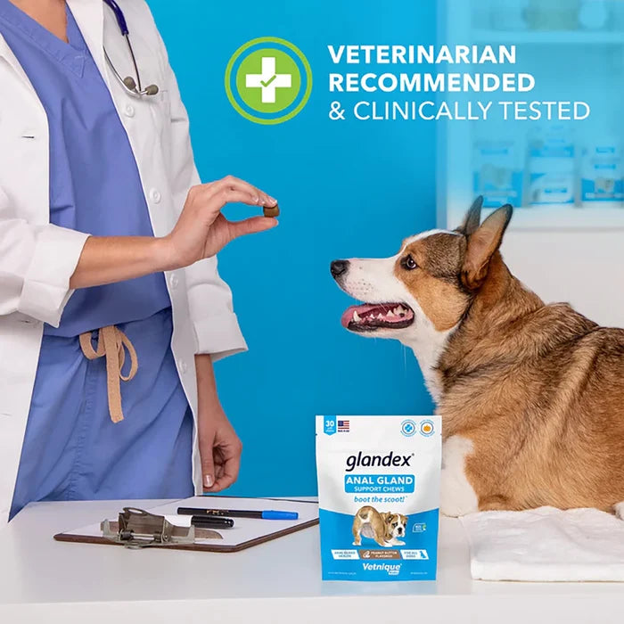 Glandex Anal Gland Support Soft Chews - Peanut Butter Flavor 30 ct.