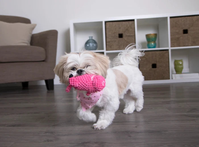 goDog Checkers Just For Me Flying Pig Squeaky Plush Dog Toy Mini