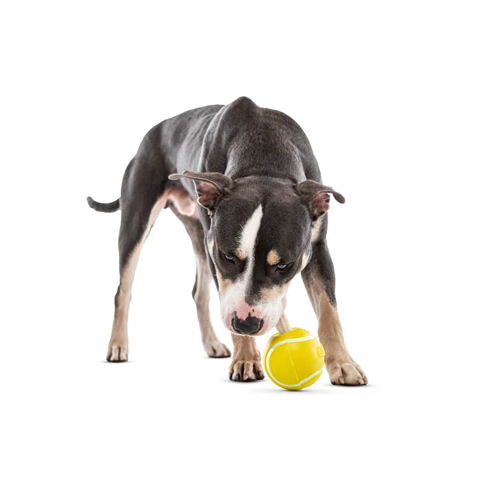 GURU Pet Company Tennis Treat Ball Interactive Dog Chew Toy Medium
