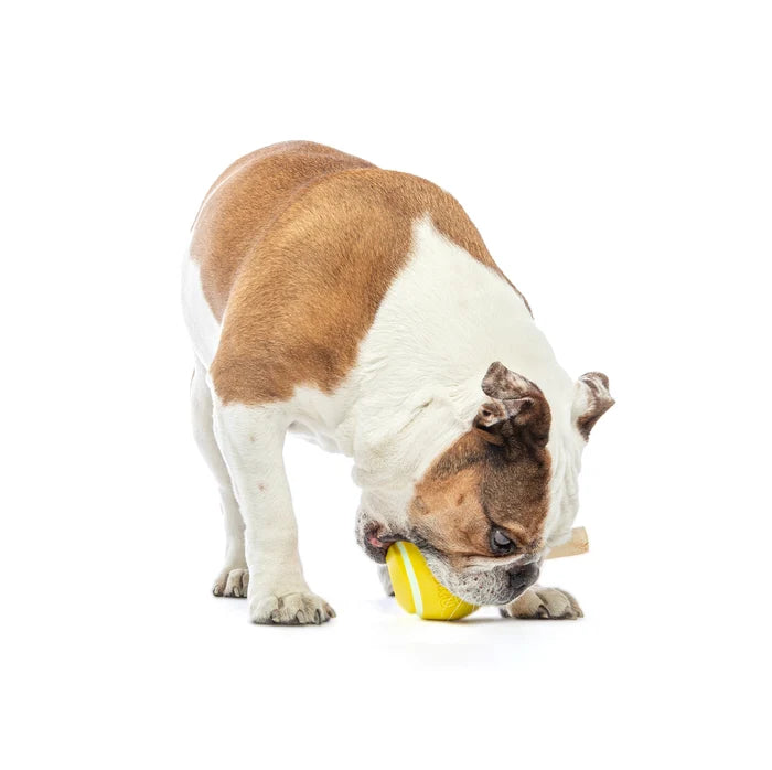 GURU Pet Company Tennis Treat Ball Interactive Dog Chew Toy Medium