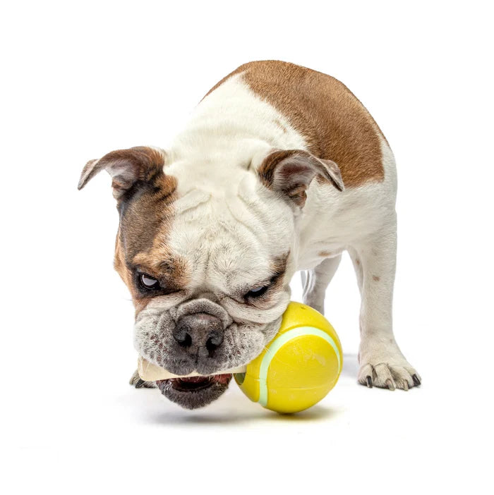 GURU Pet Company Tennis Treat Ball Interactive Dog Chew Toy Medium
