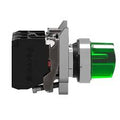 Illuminated 2 Position Selector Switch GREEN XB4-BK2462 1NC