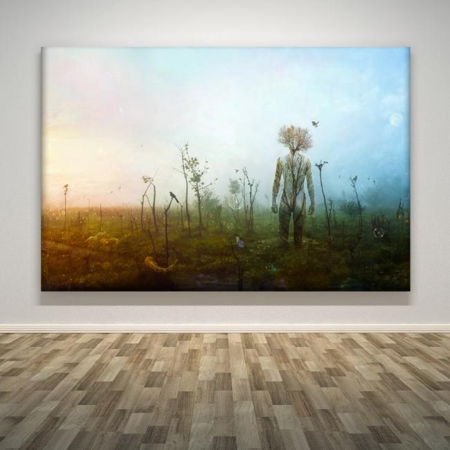 "Internal Landscape"