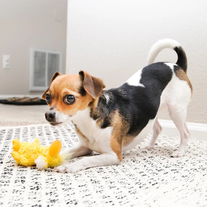 KONG® Dr. Noyz Duck Plush Dog Toy Small
