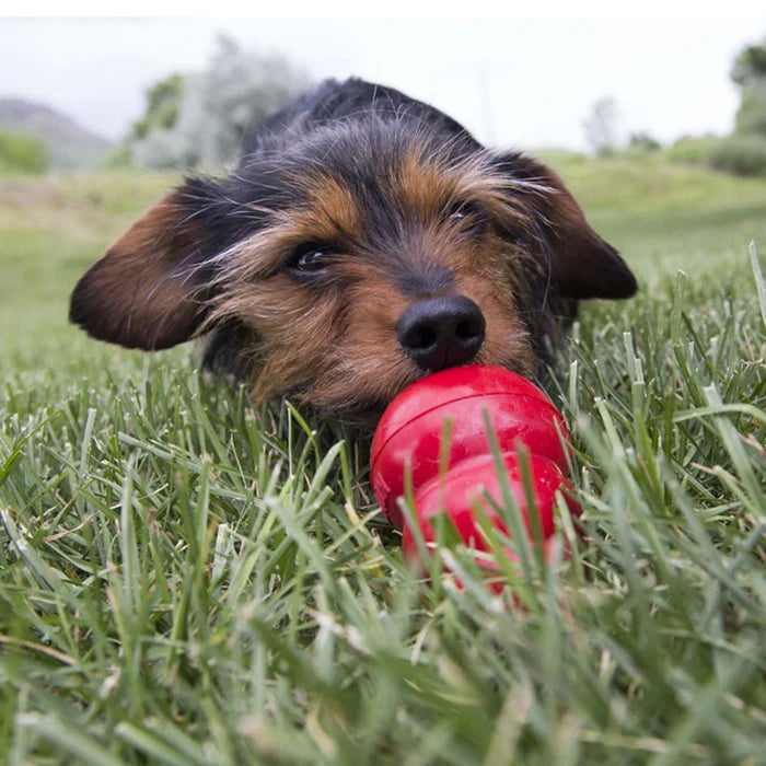 KONG® Easy Treat® Pepperoni 8 oz